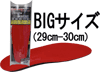 BIGサイズ（29cm-30cm）アスリートポジョション